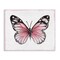 Stupell Industries Pink Monarch Butterfly Canvas By Janet Tava